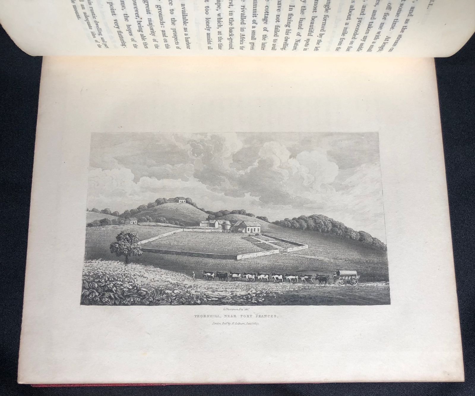 Travels and Adventures 9.jpeg