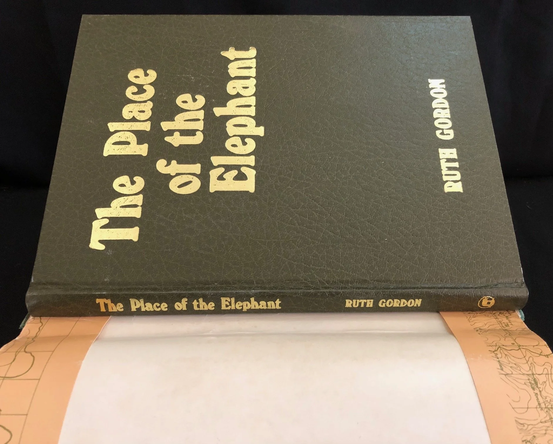 The Place of the Elephant: A History of Pietermaritzburg, by Ruth Gordon. 