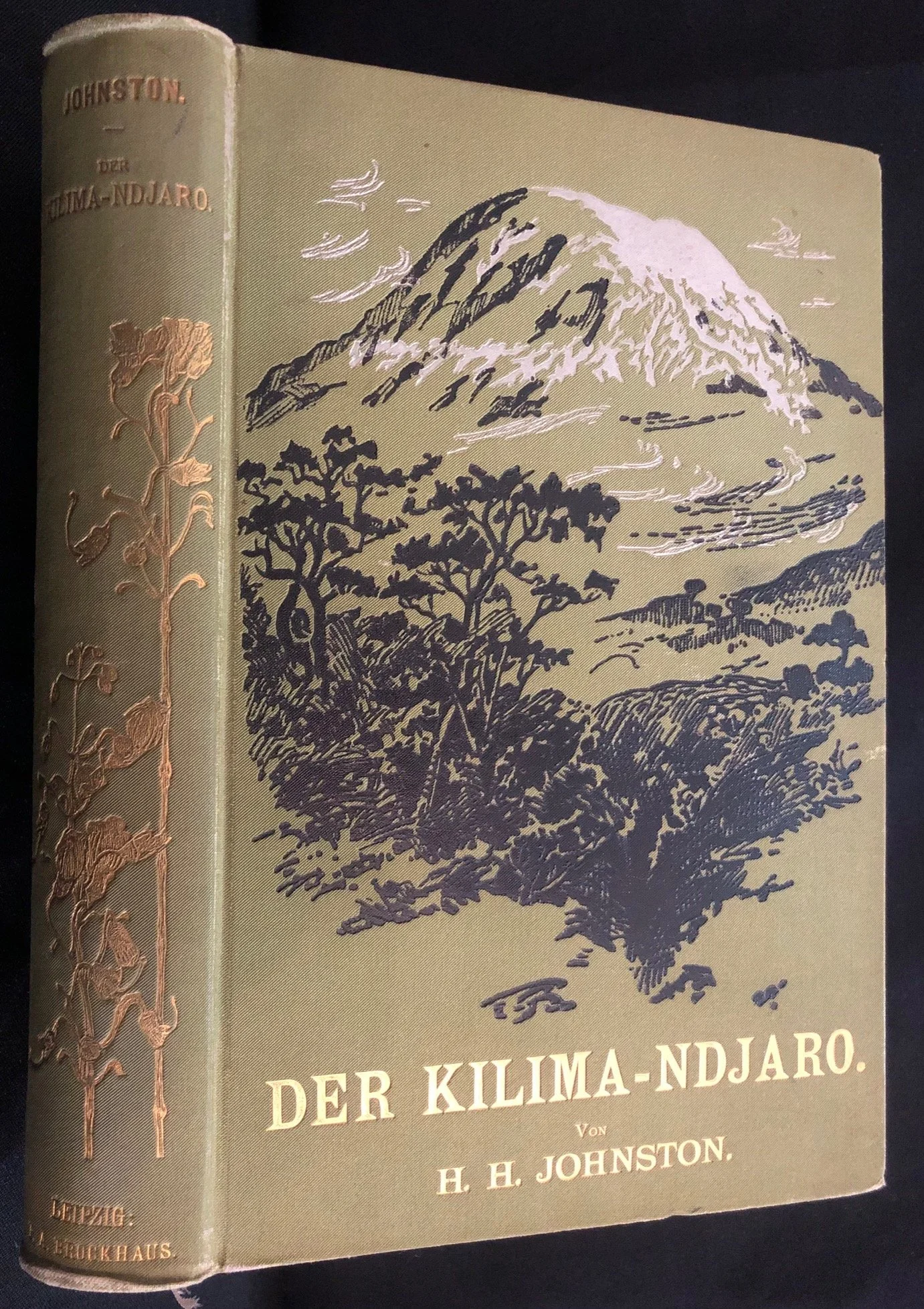 Der Kilima-Ndjaro (The Kilimanjaro Expedition) Harry Hamilton Johnston 1886 