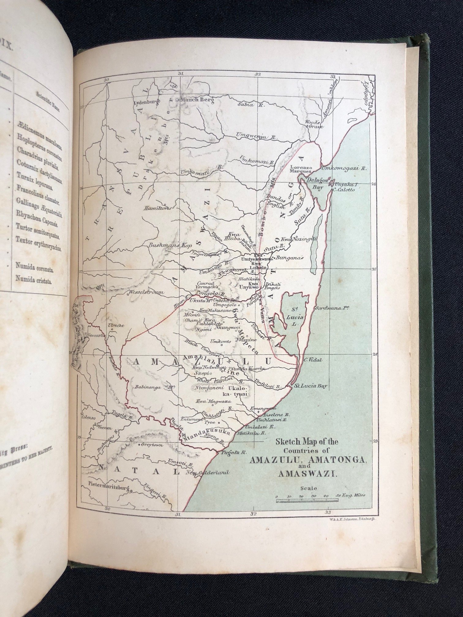 The Large Game 11.jpg