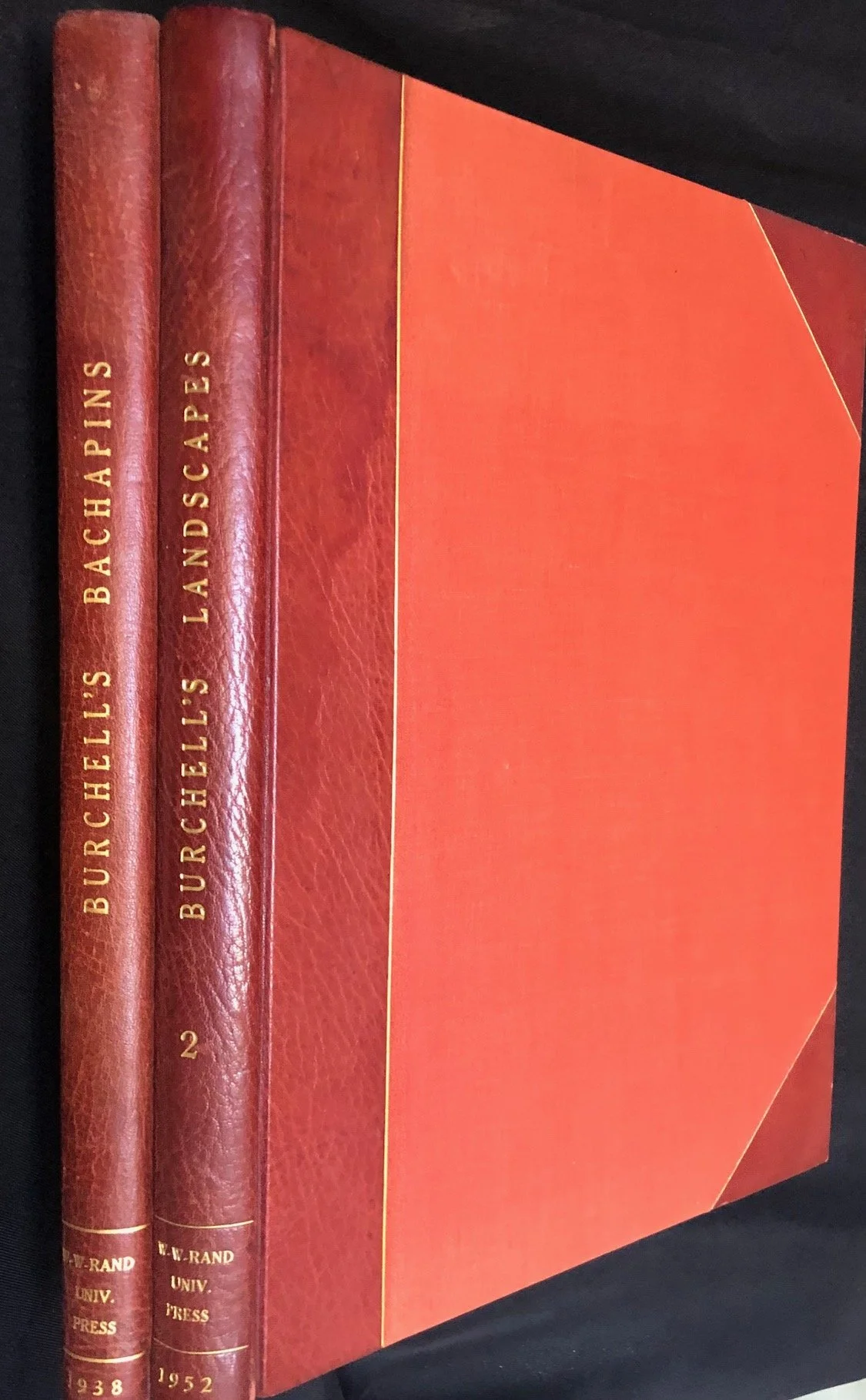 The South African Drawings of William Burchell 1.jpg