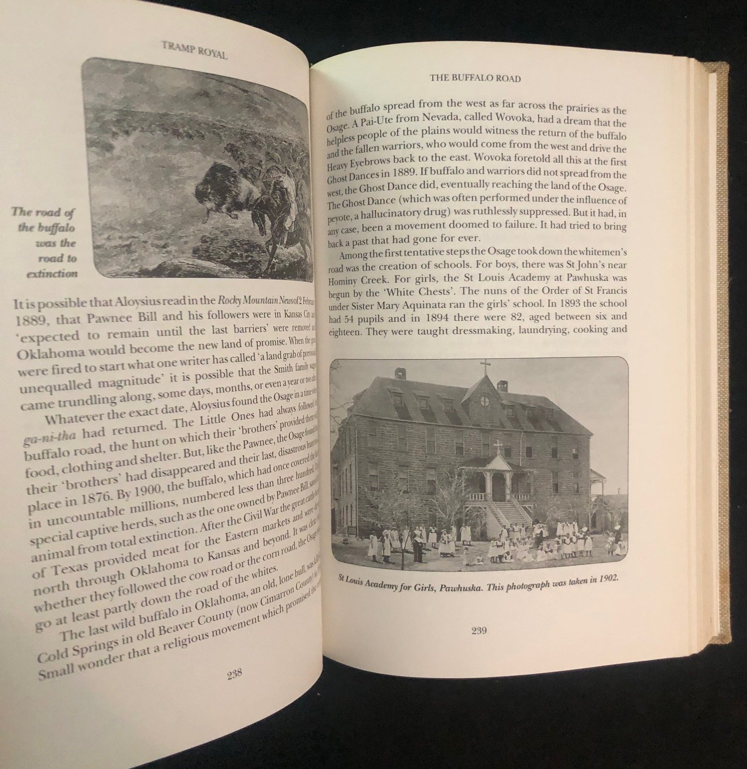 Tramp Royal: The True Story of Trader Horn by Tim Couzens. 
Limited edition (1992)