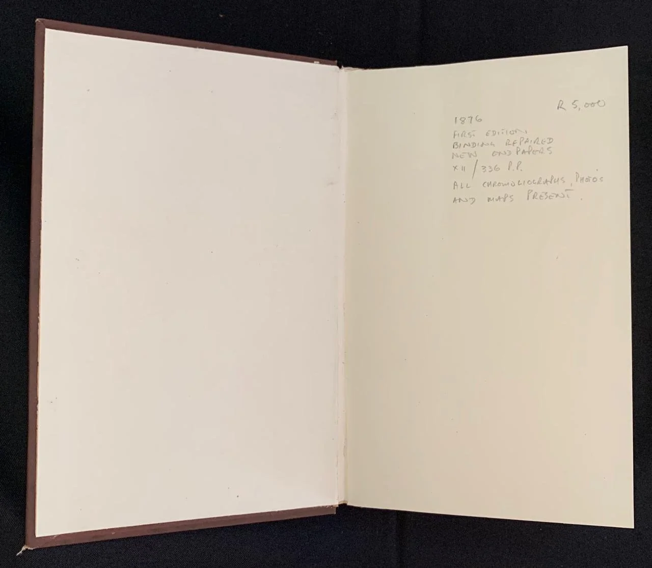 Natal by Henry Brooks 1876 2.jpeg