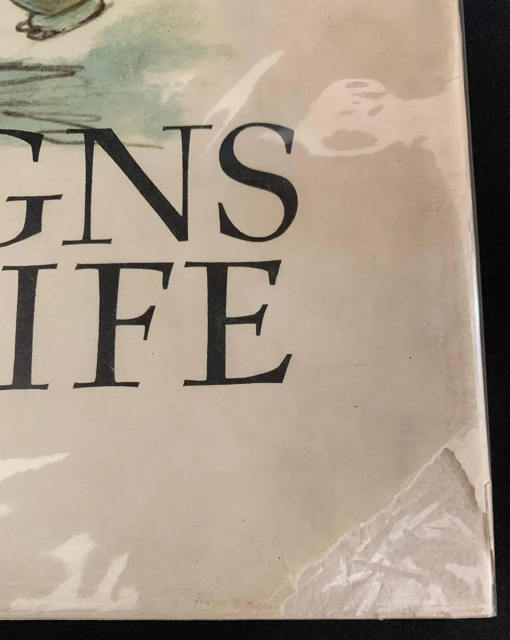 De Luxe Edition Ernest Ullmann Design on Life (1970) 3.jpeg