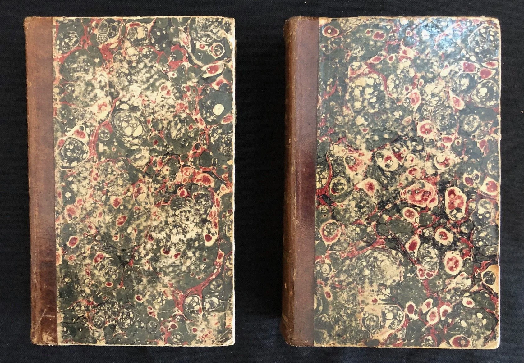 Travels in Southern Africa (in Italian). By François Le Vaillant. 1834. (2)