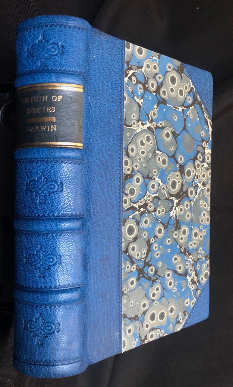 The Origin of Species by Charles Darwin (1876)