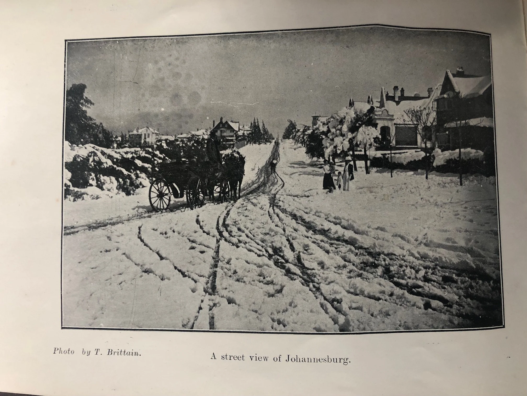 Snow in Joburg 3.jpg