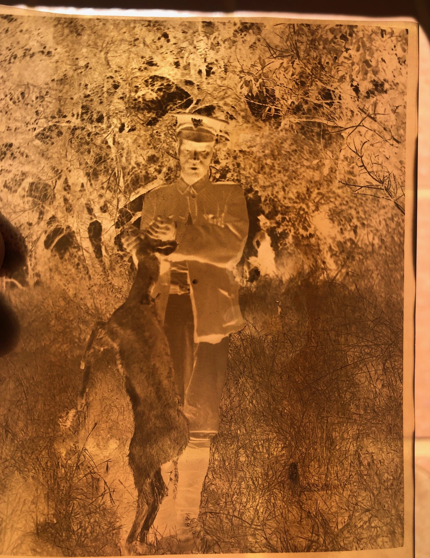 Negatives Relating to Hunting 1.jpg