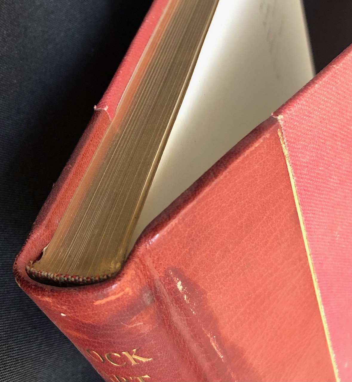 Prehistoric Rock Art de luxe edition 3.jpg