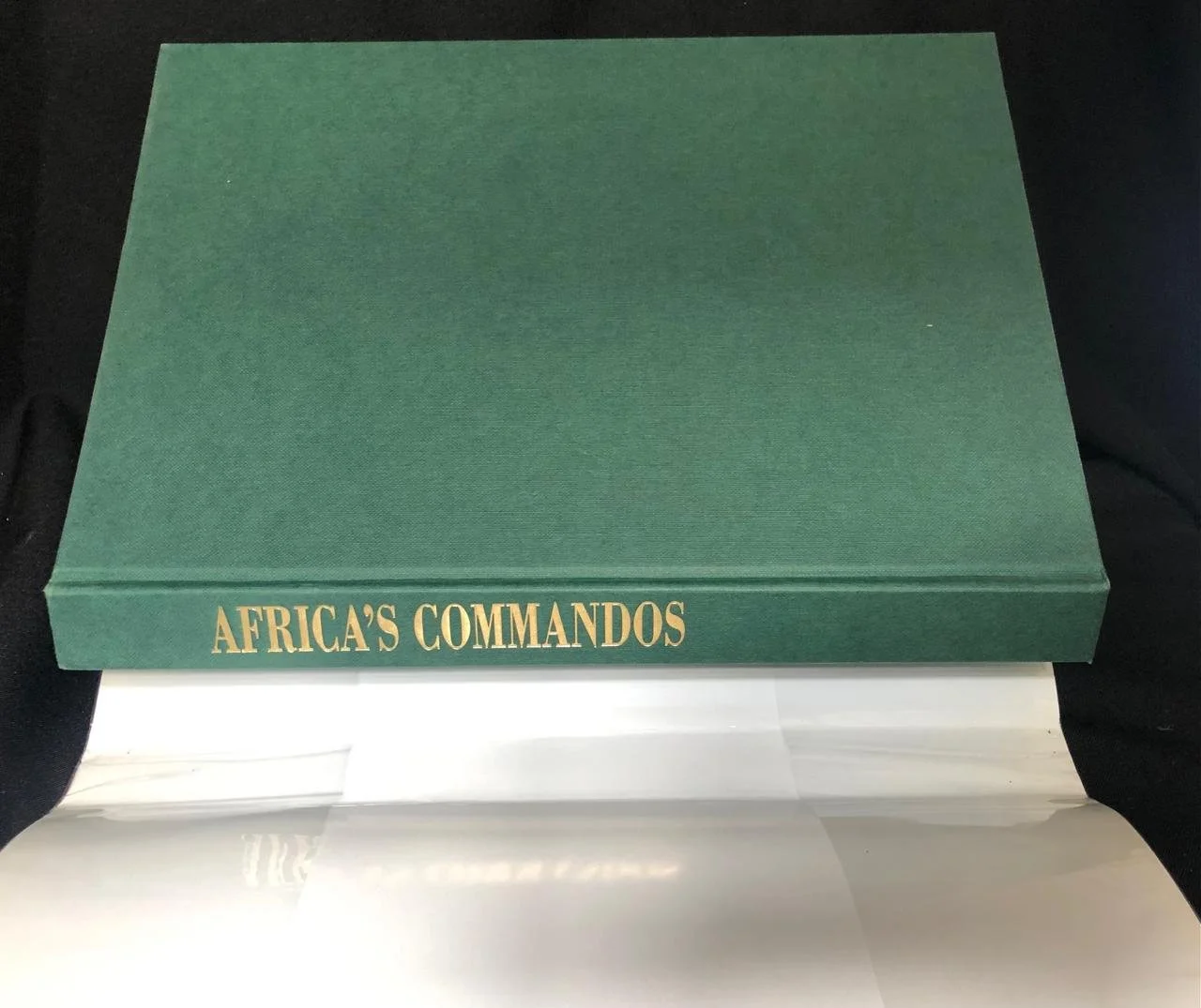 Africa's Commandos 2.jpeg