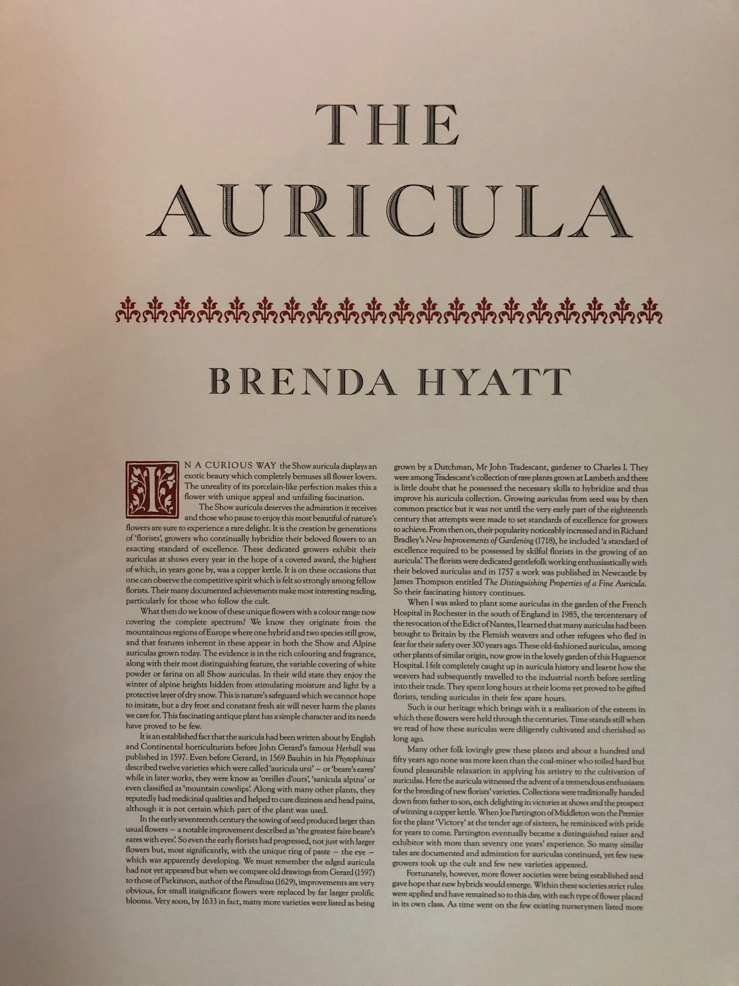 The Auricula by Stephanie Hoppen 1990  4.jpg
