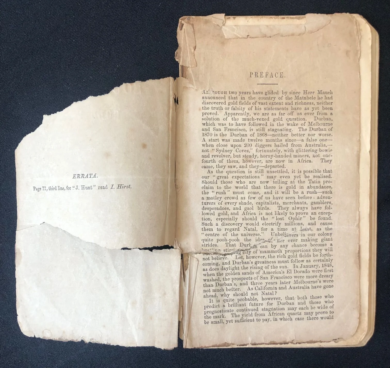 A Visit to the South African Gold Fields (1870) 4.jpeg