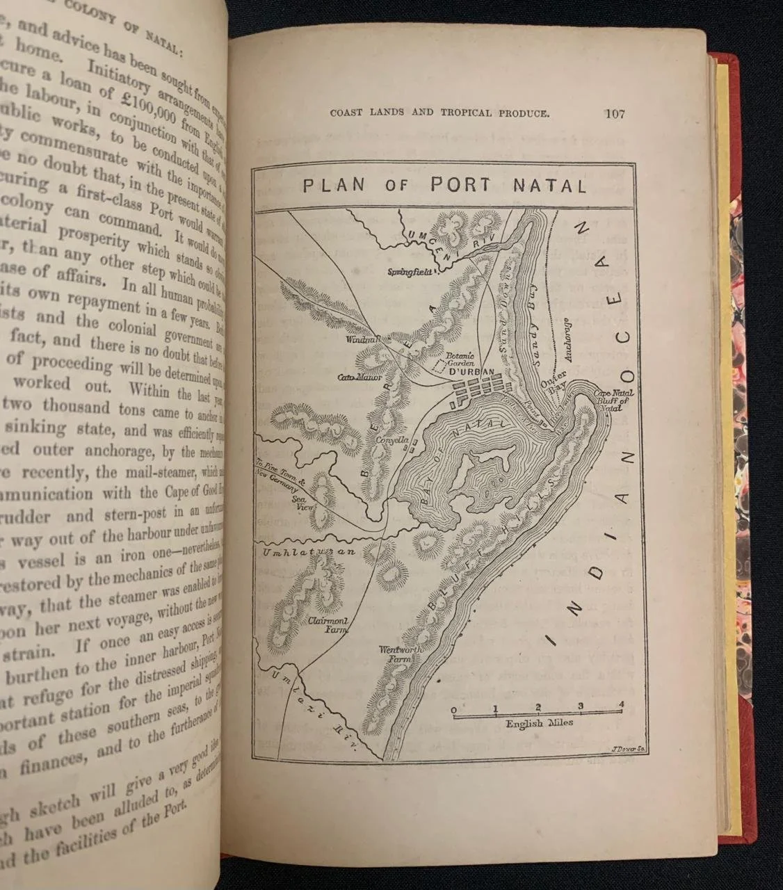 The Colony of Natal by Robert James Mann (1859) 8.jpeg