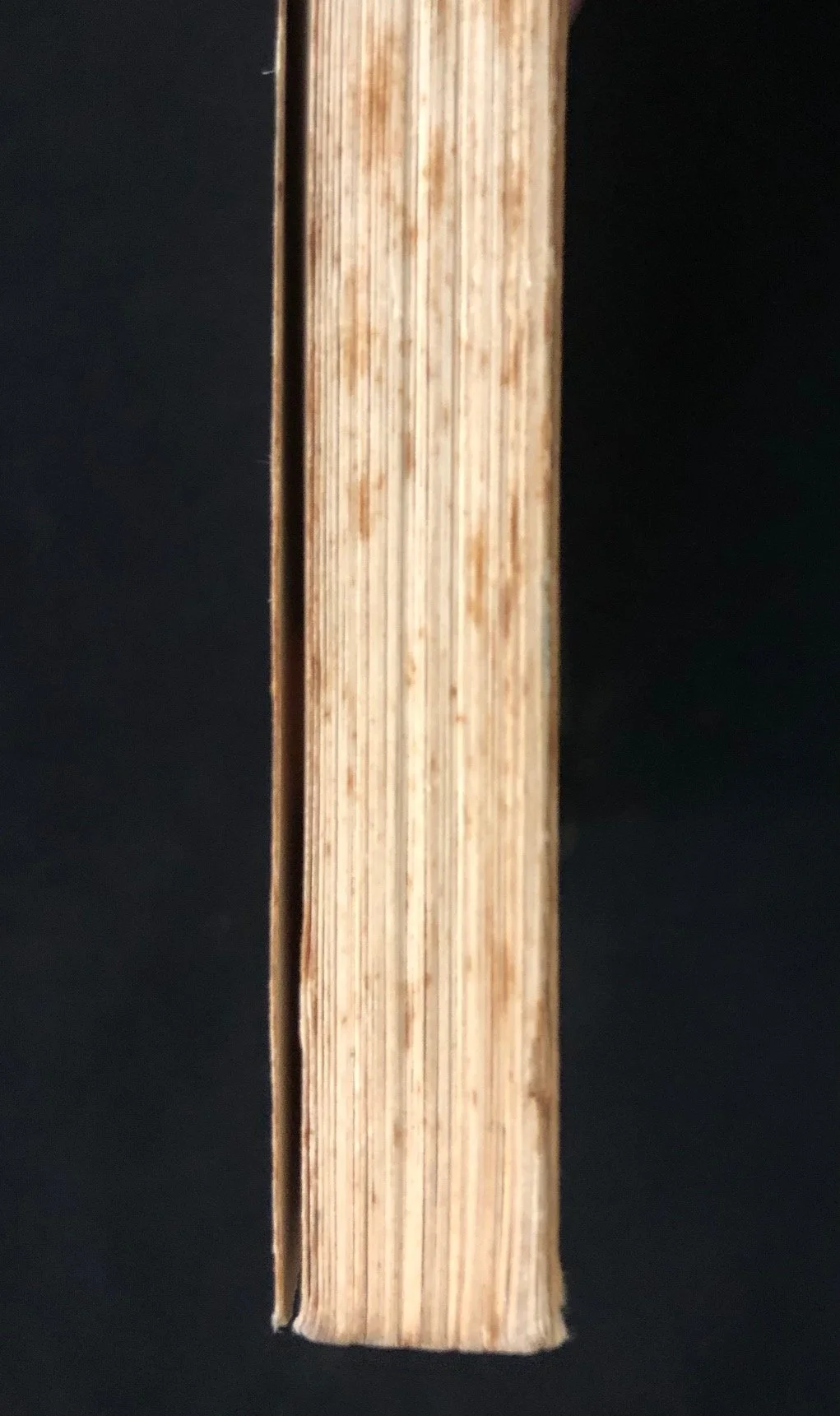 The Incredibles 7.jpg