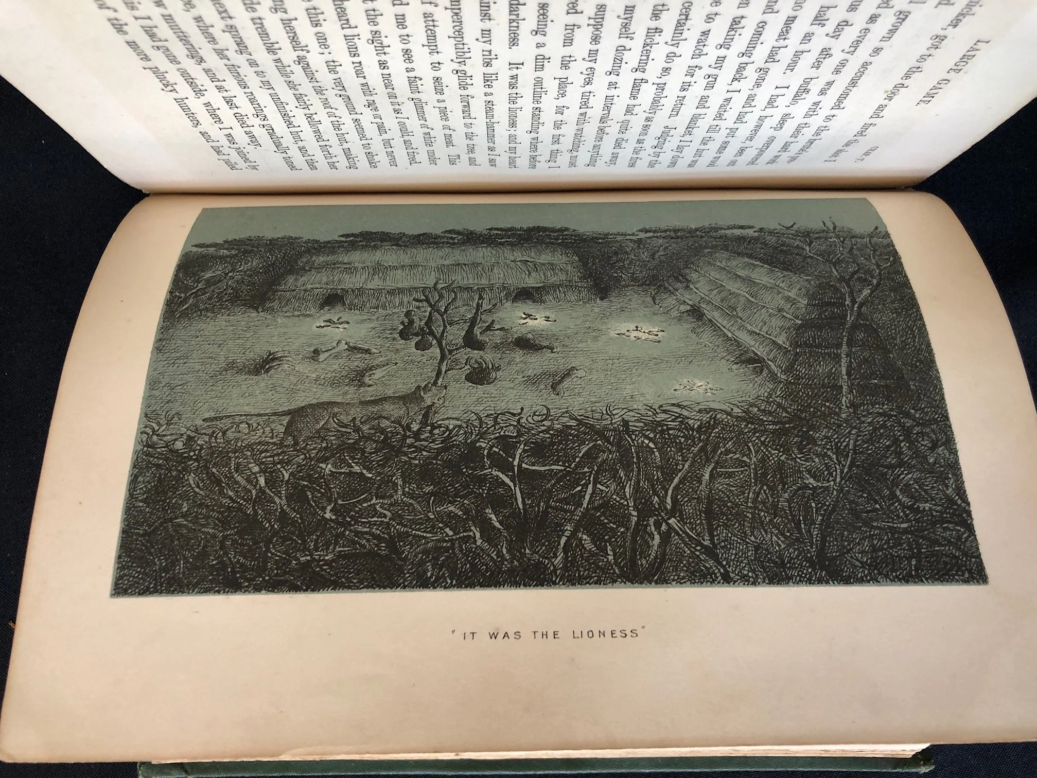 The Large Game 10.jpg