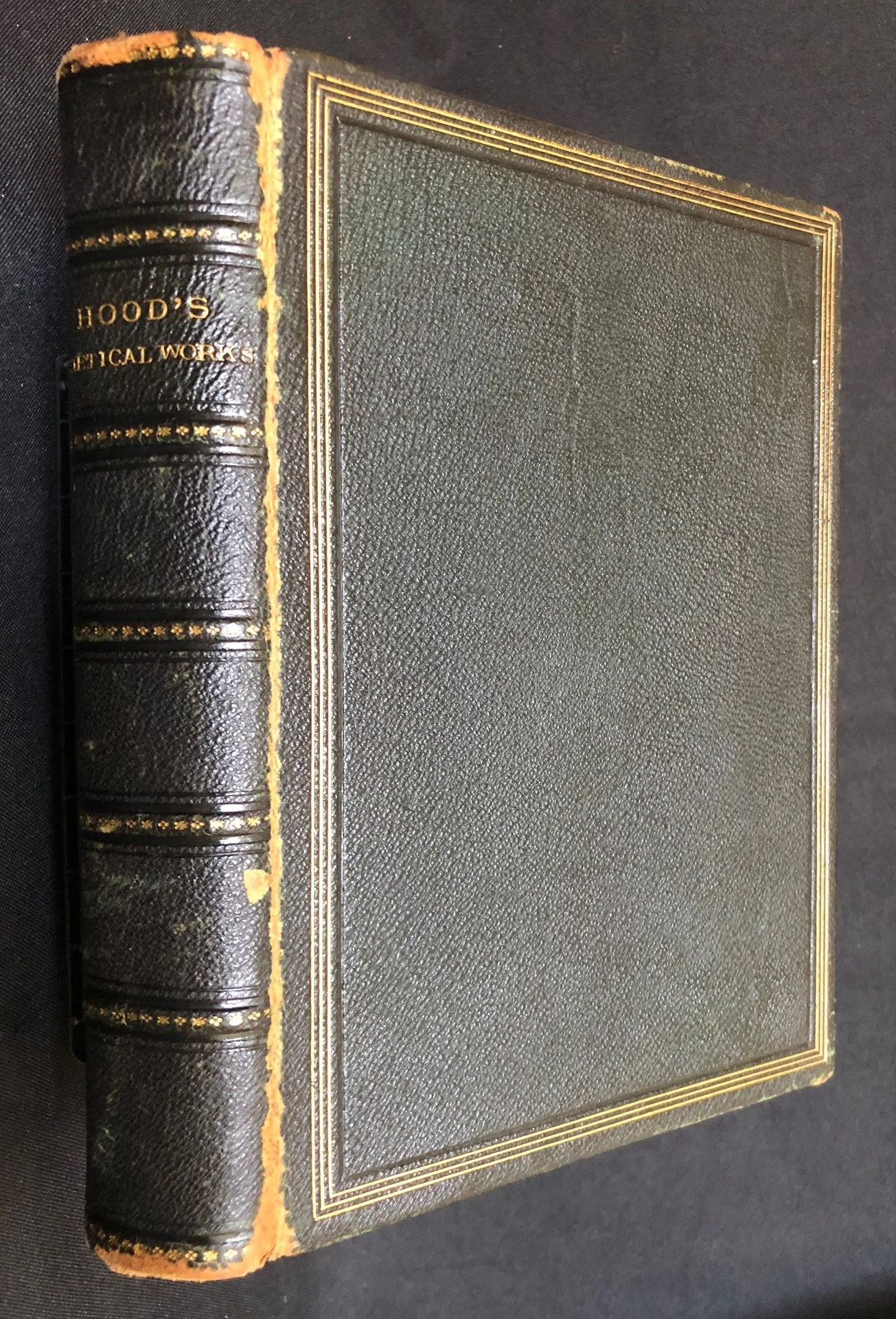 The Poetical Works of Thomas Hood 1871 (Table Bay Fore-edge Painting)