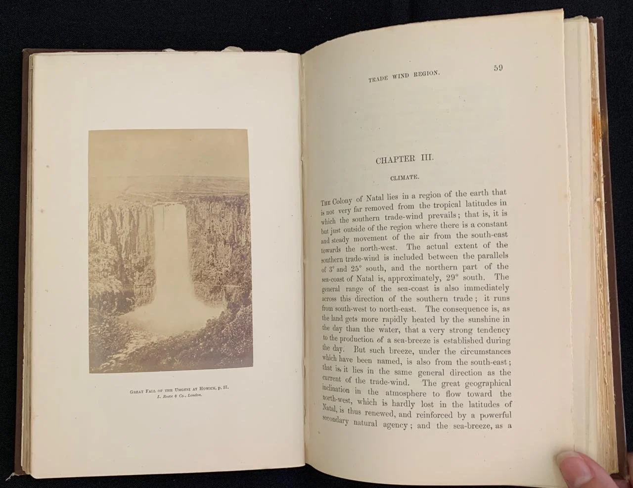Natal by Henry Brooks 1876 10.jpeg