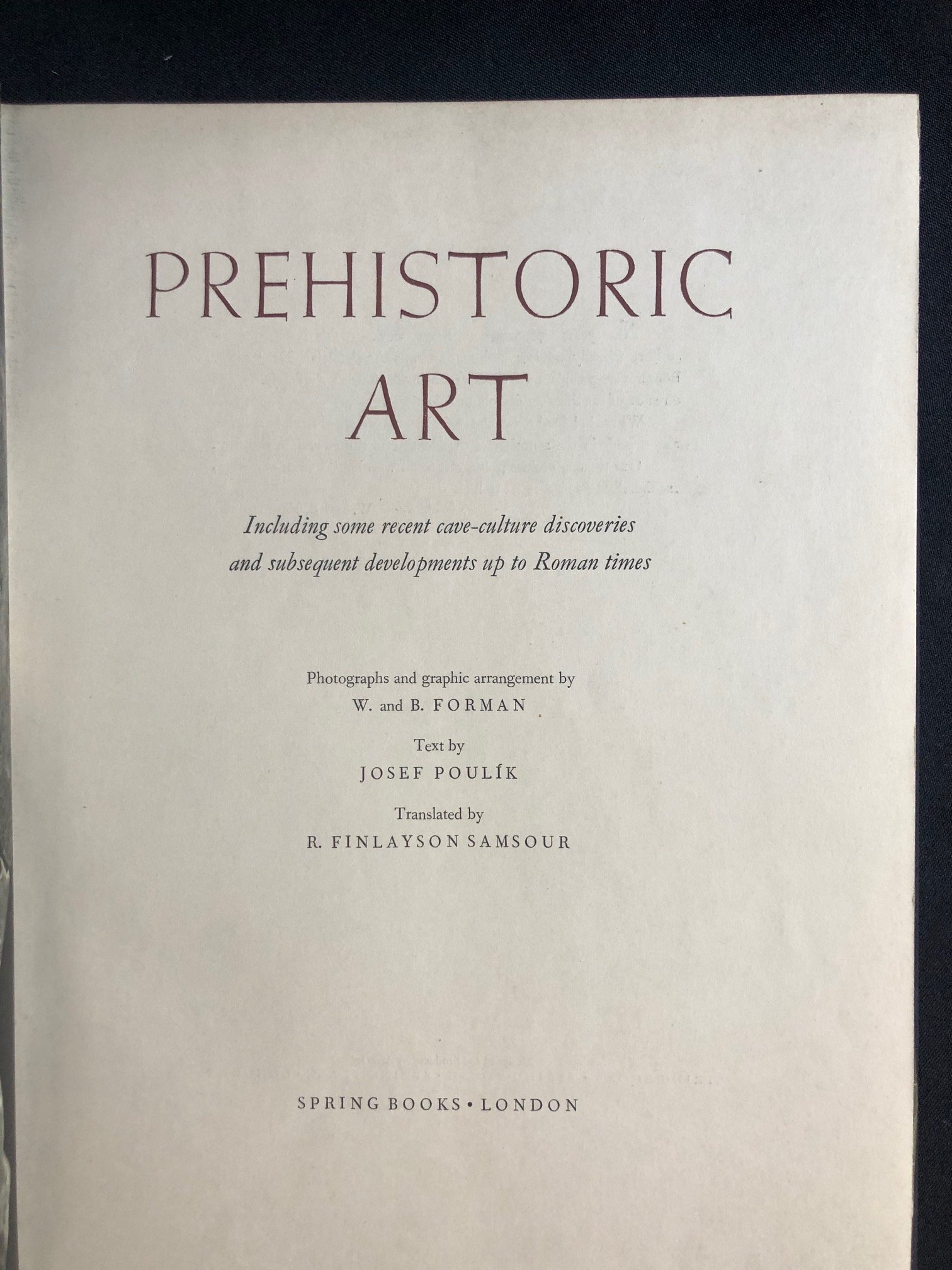 Prehistoric Art 5.jpg