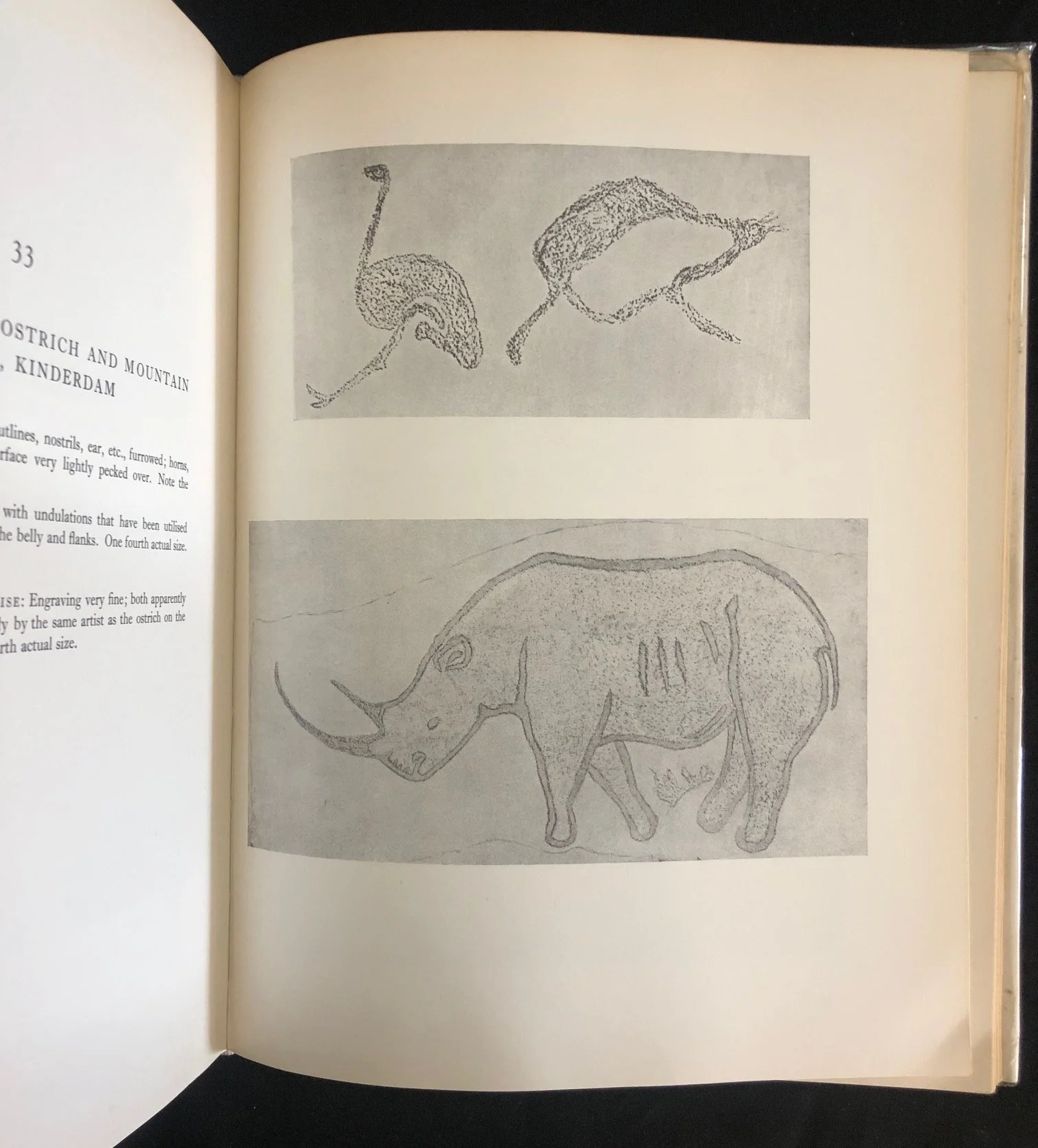 The Rock-Engravings of Griqualand West & Bechuanaland by Maria Wilman (1968)