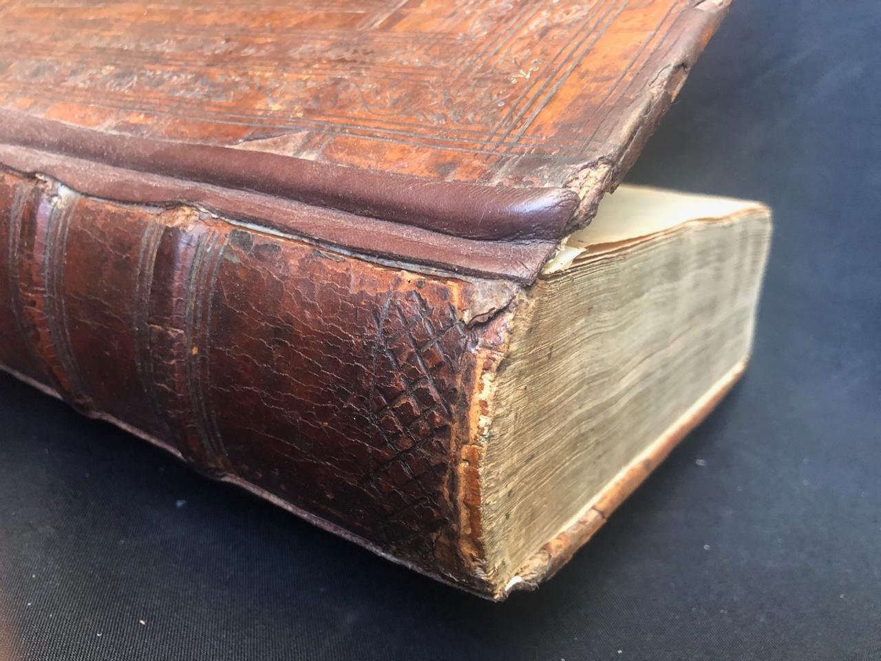 The Shepard and the Office of the Pope (1628) 2.jpg