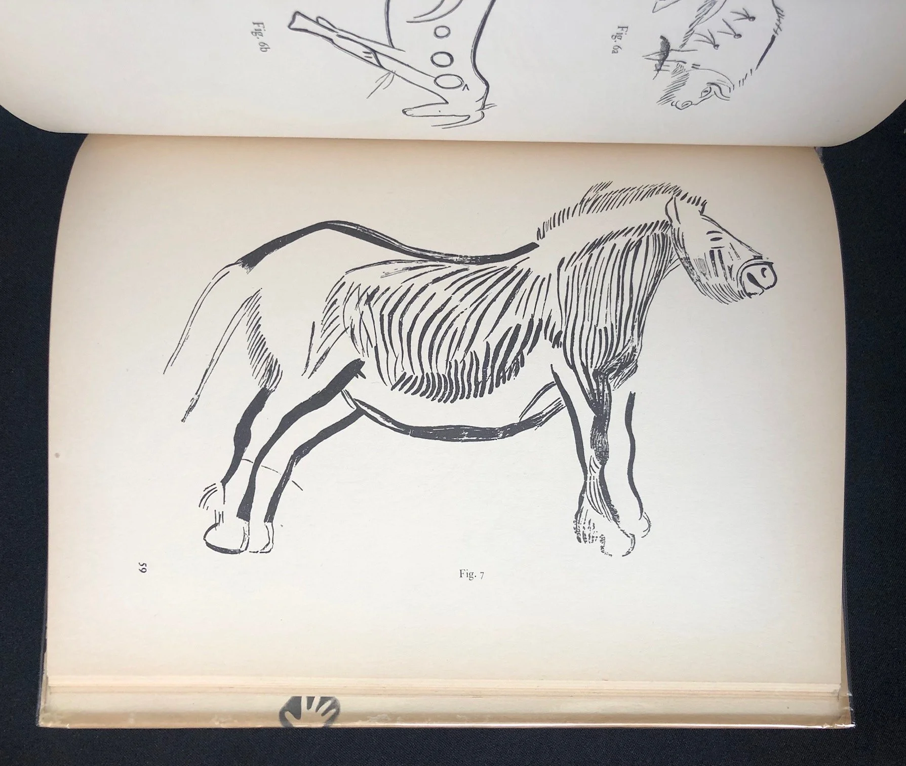 Prehistoric Cave Paintings 7.jpg