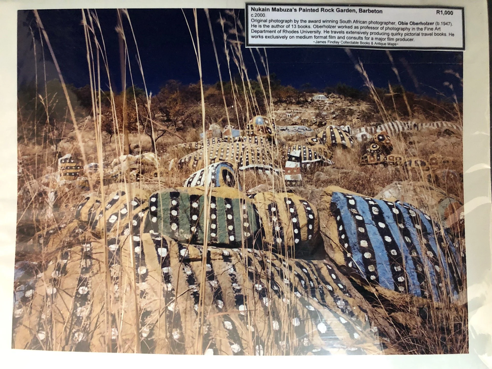 Nukain Mabuza’s Painted Rock Garden by Obie Oberholzer