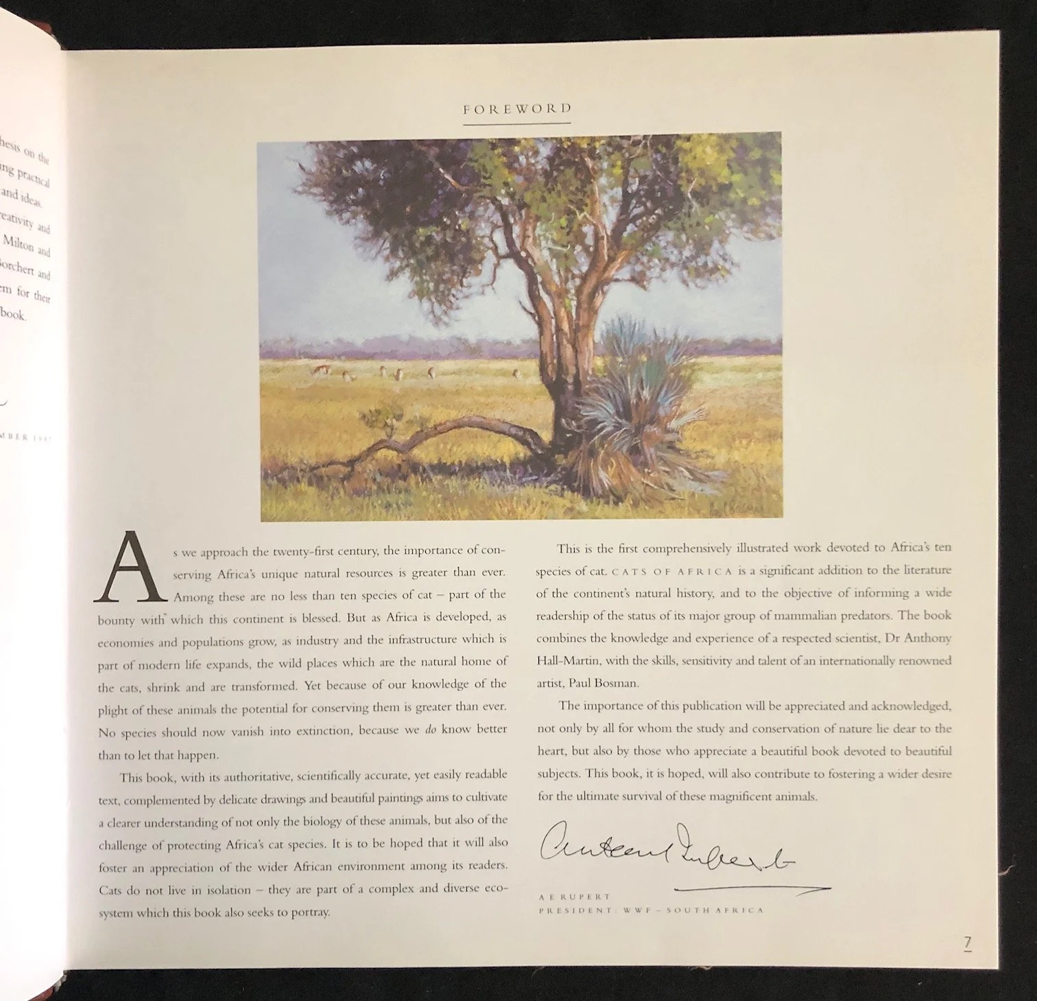 A deluxe edition of Cats by Dr. Anthony Hall-Martin (1997)