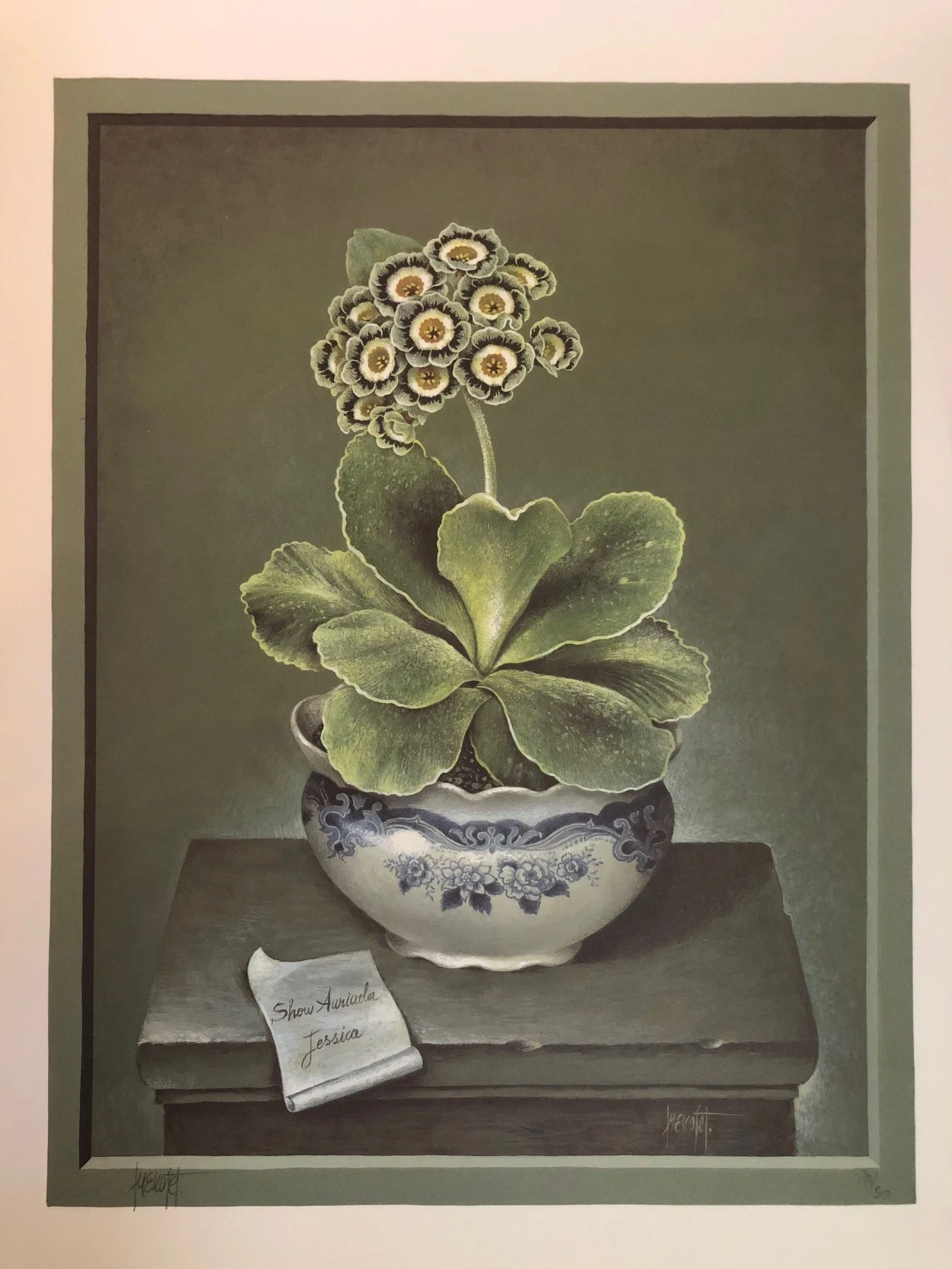 The Auricula by Stephanie Hoppen 1990 5.jpg