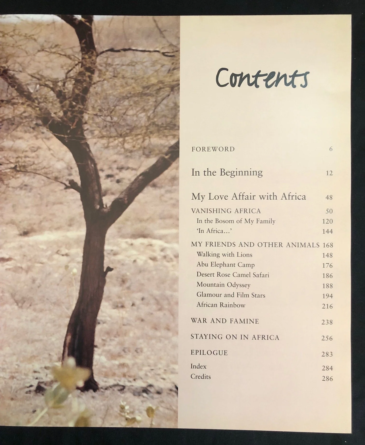 African Visions: The Diary of an African Photographer Mirella Ricciardi (2000)