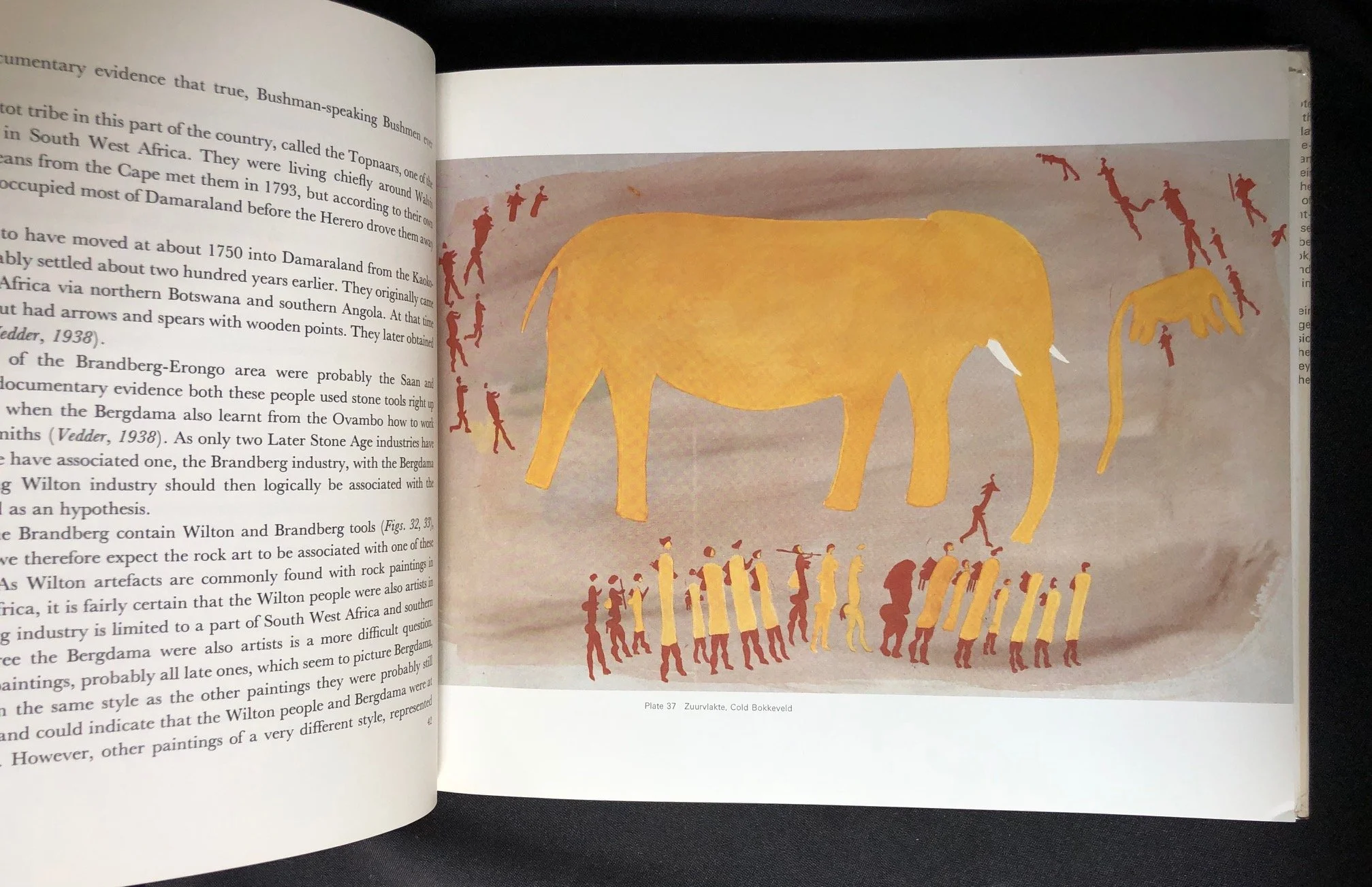 The Hunter and his Art 6.jpg