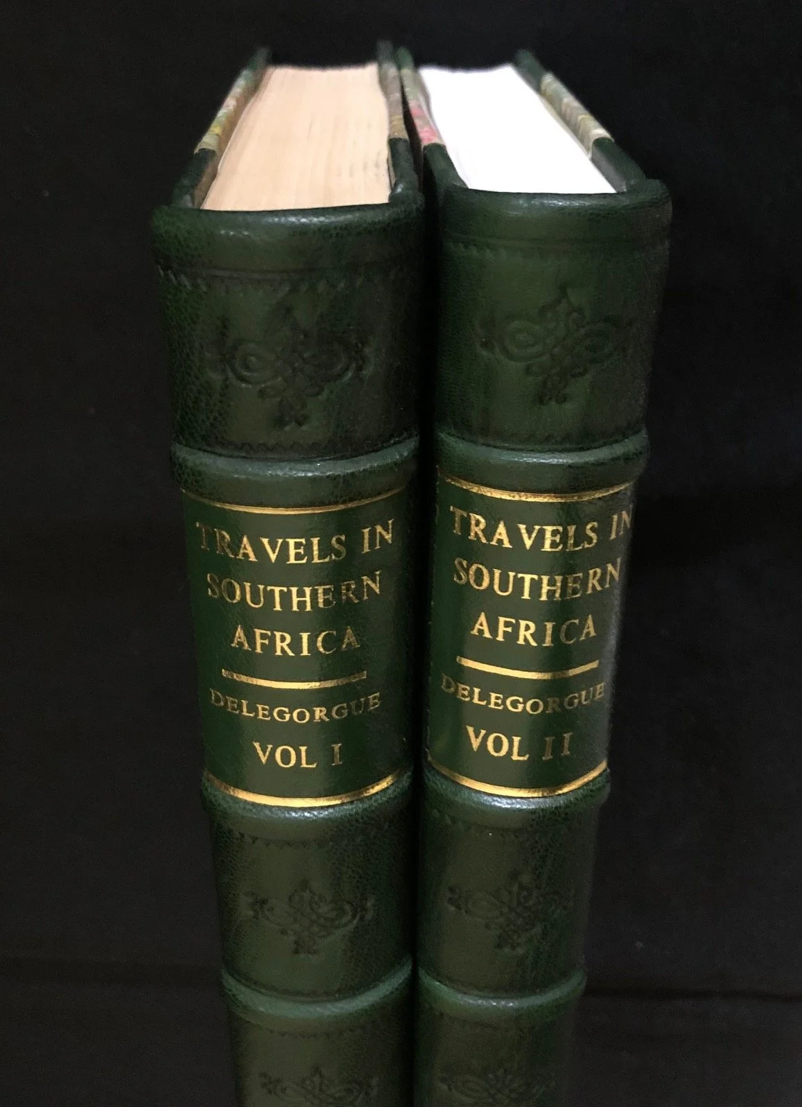 Adulphe Delegorgue’s Travels in Southern Africa, 2 Vols (1990)