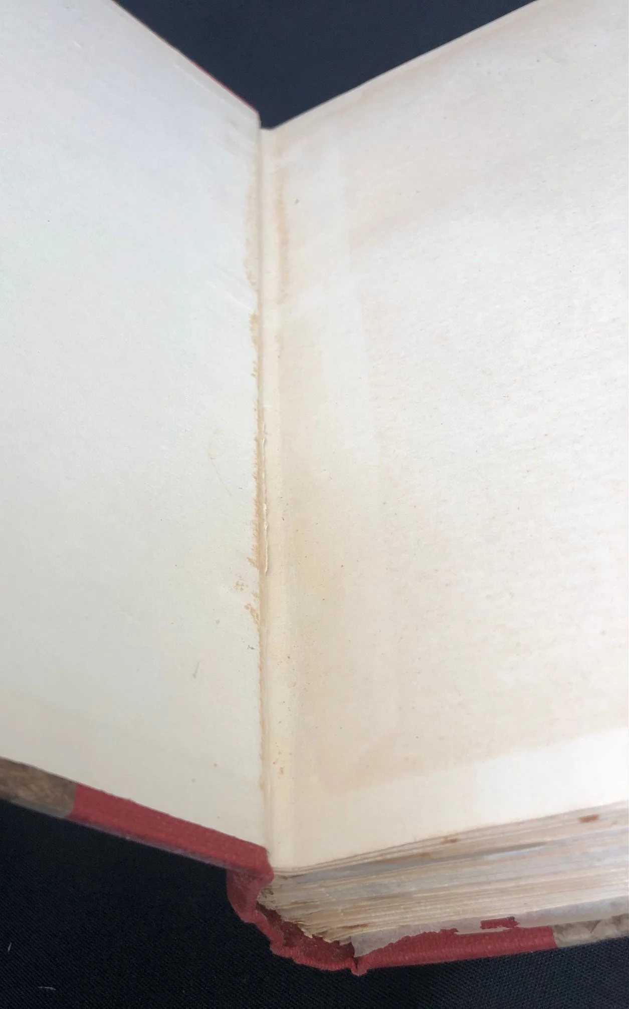 Rock-Paintings in South Africa 2.jpg