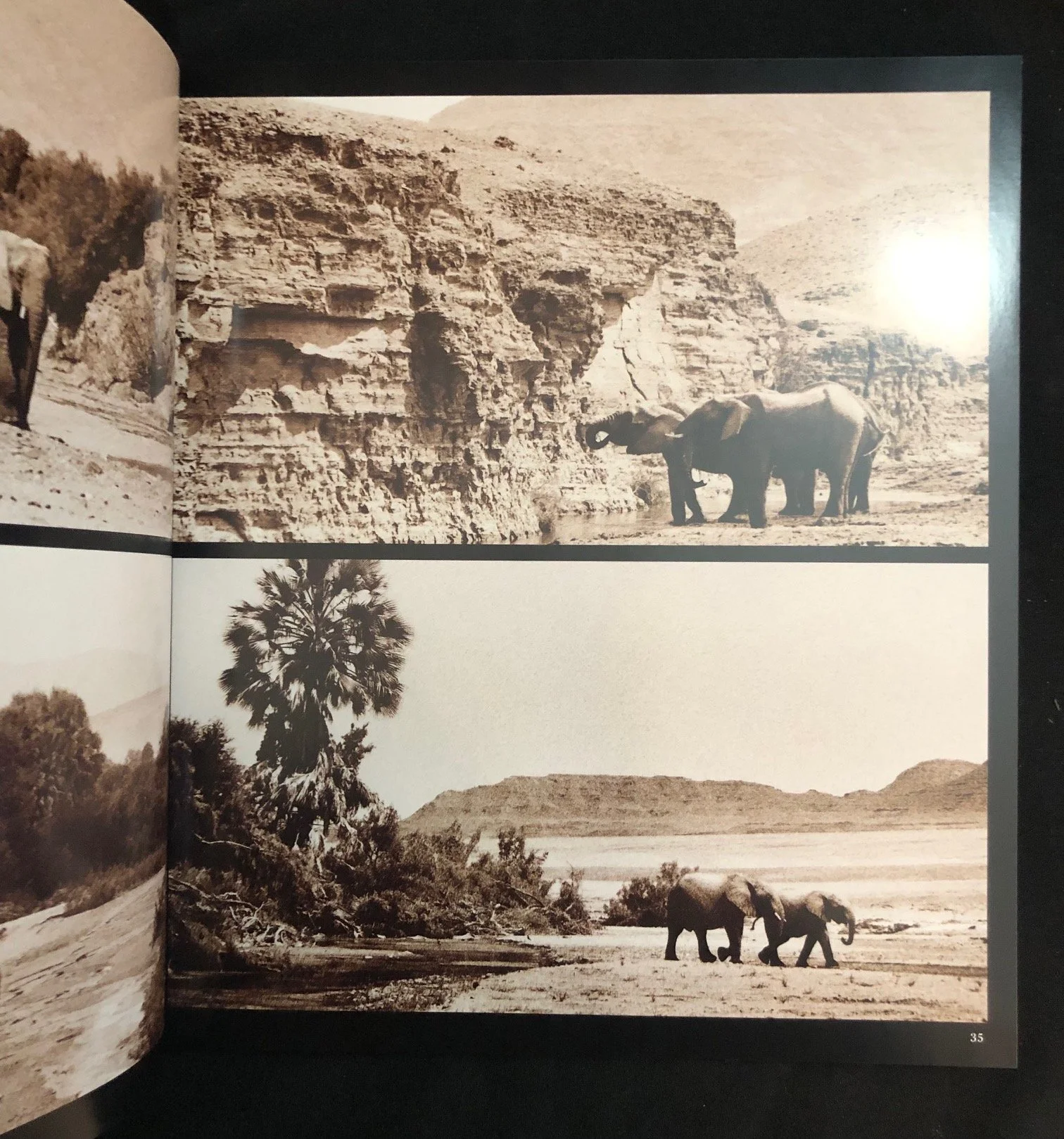 Forever Africa: A Journey from the Cape of Good Hope to Morocco by Peter and Beverly Pickford (2004)