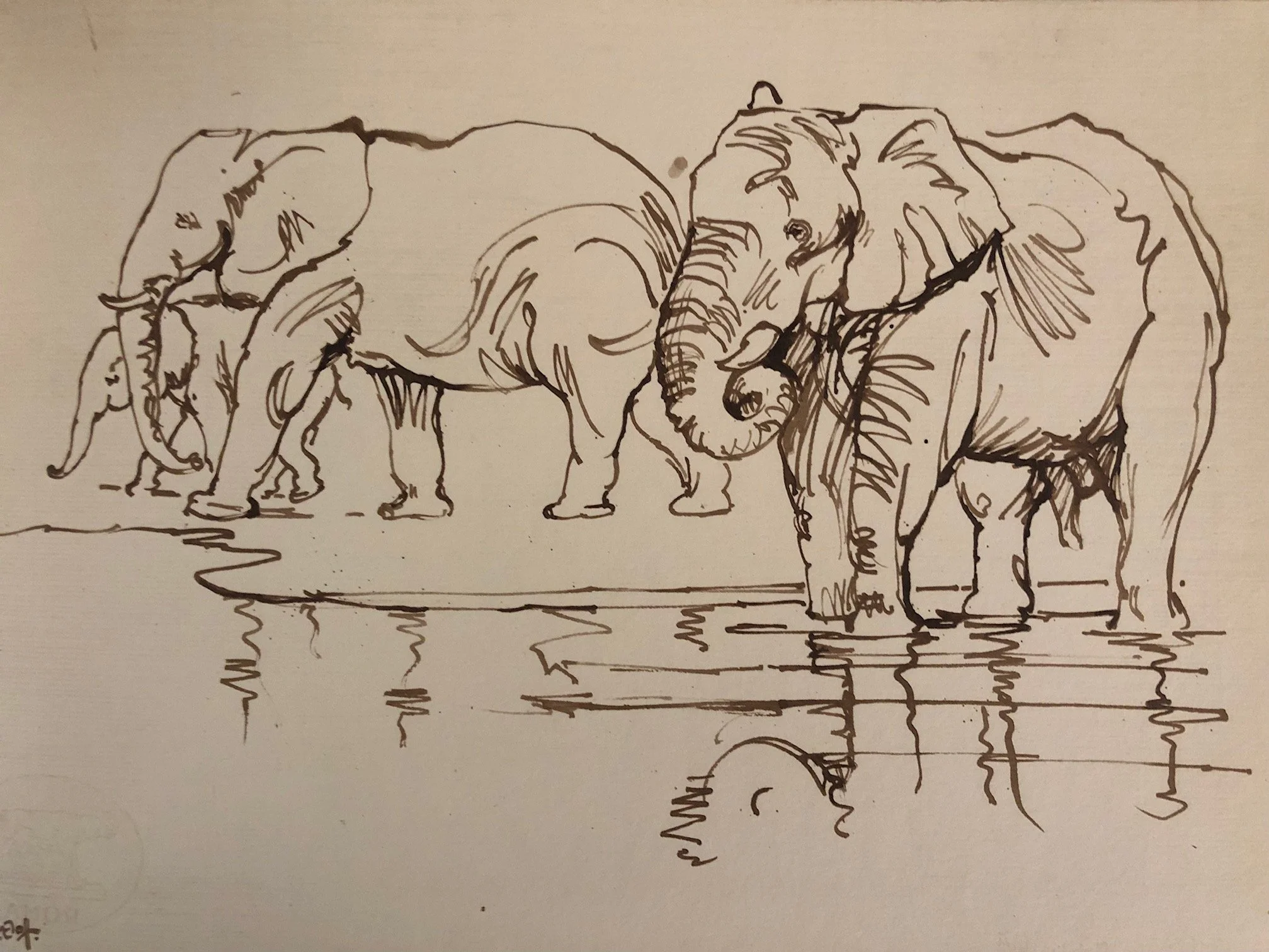 Drawn from Life (Zakkie Elof) 9.jpg