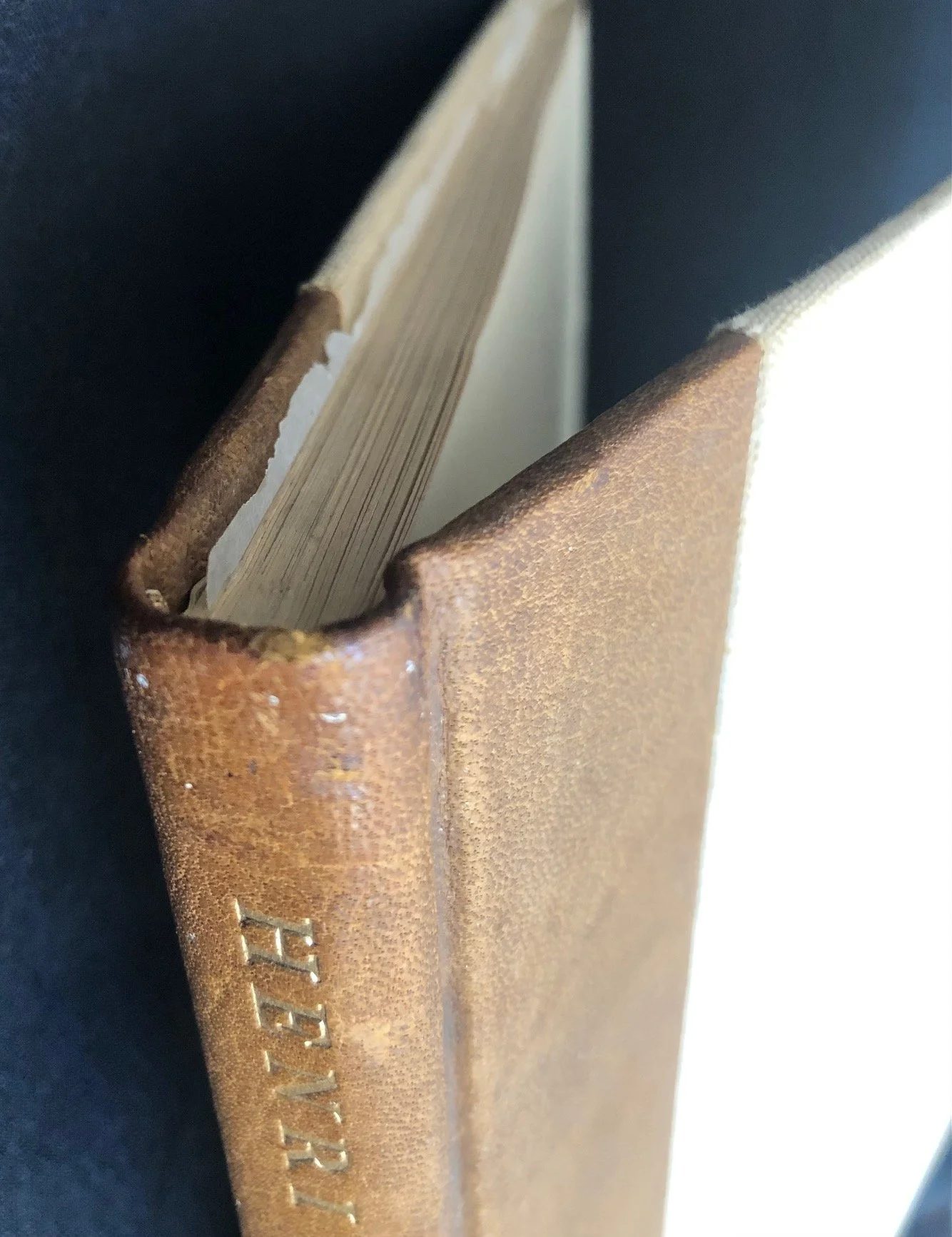 Phillipp Cave de luxe edition 2.jpg