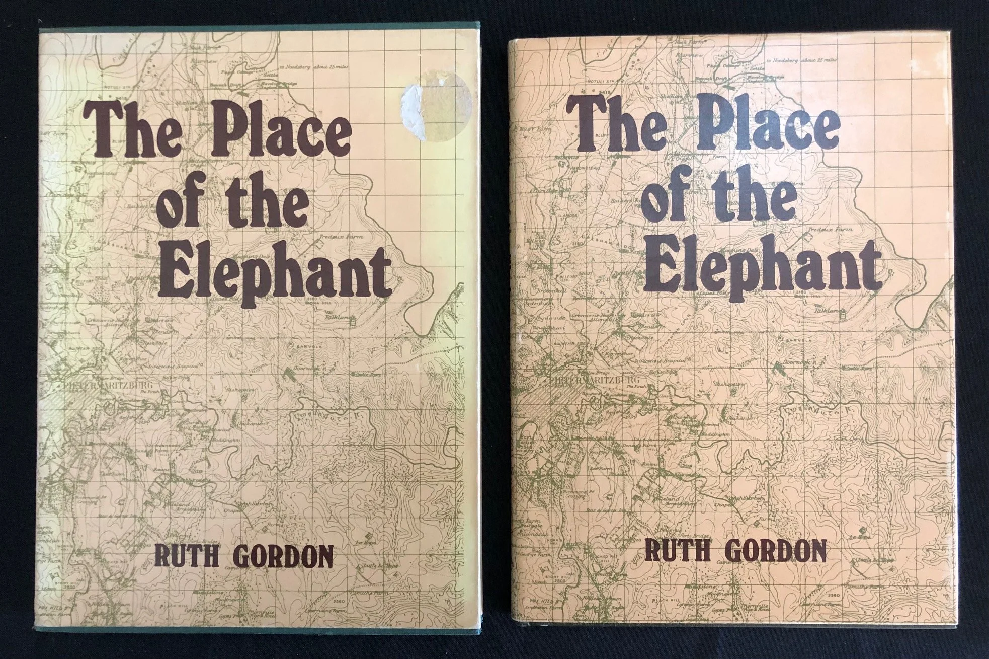 The Place of the Elephant: A History of Pietermaritzburg, by Ruth Gordon.