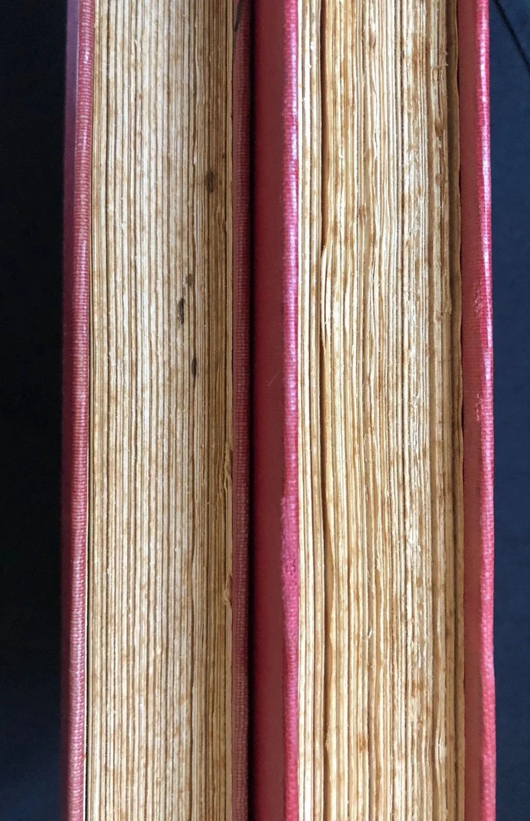 The Matabele Journals of Robert Moffat 7.jpeg