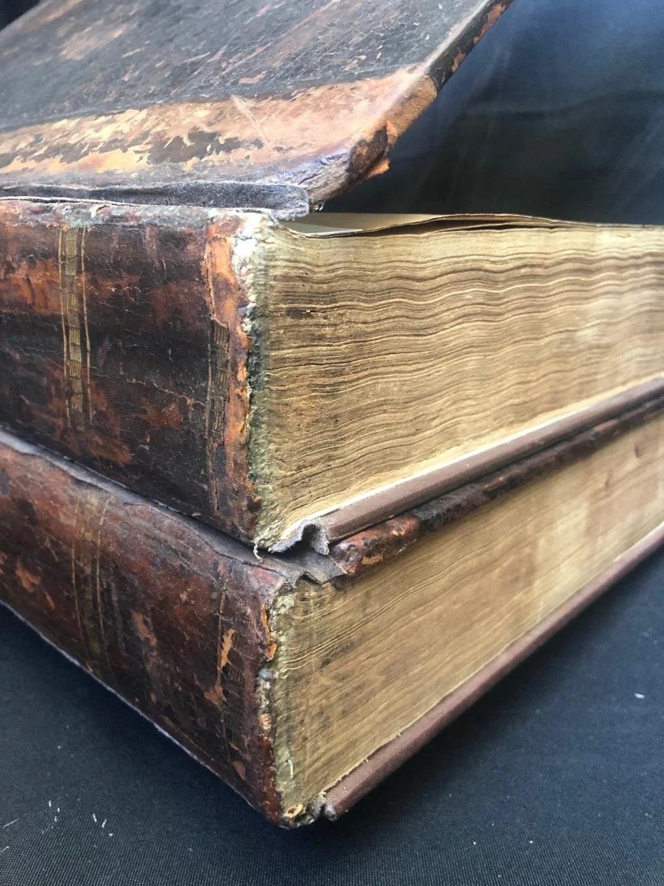 Haydock Bible 2 vols incomplete (1813) 3.jpg
