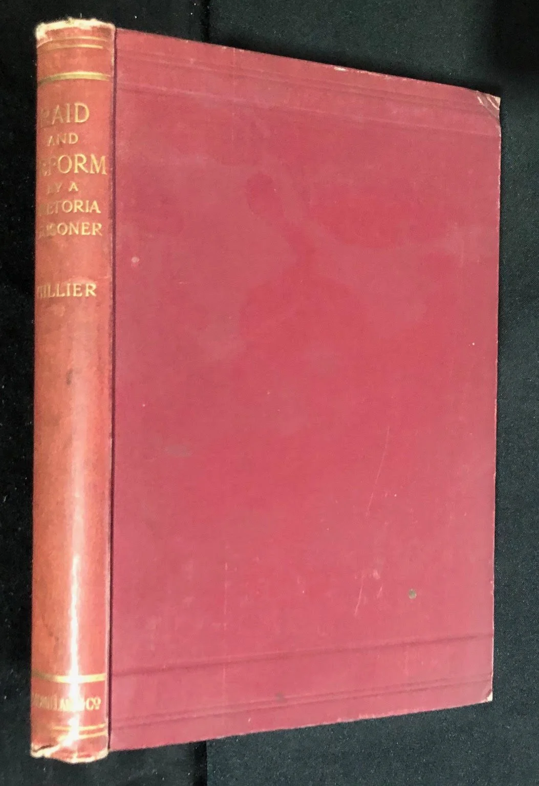 Raid and Reform - Jameson Raid by Dr. Alfred Peter Hillier. 1898.1.jpg