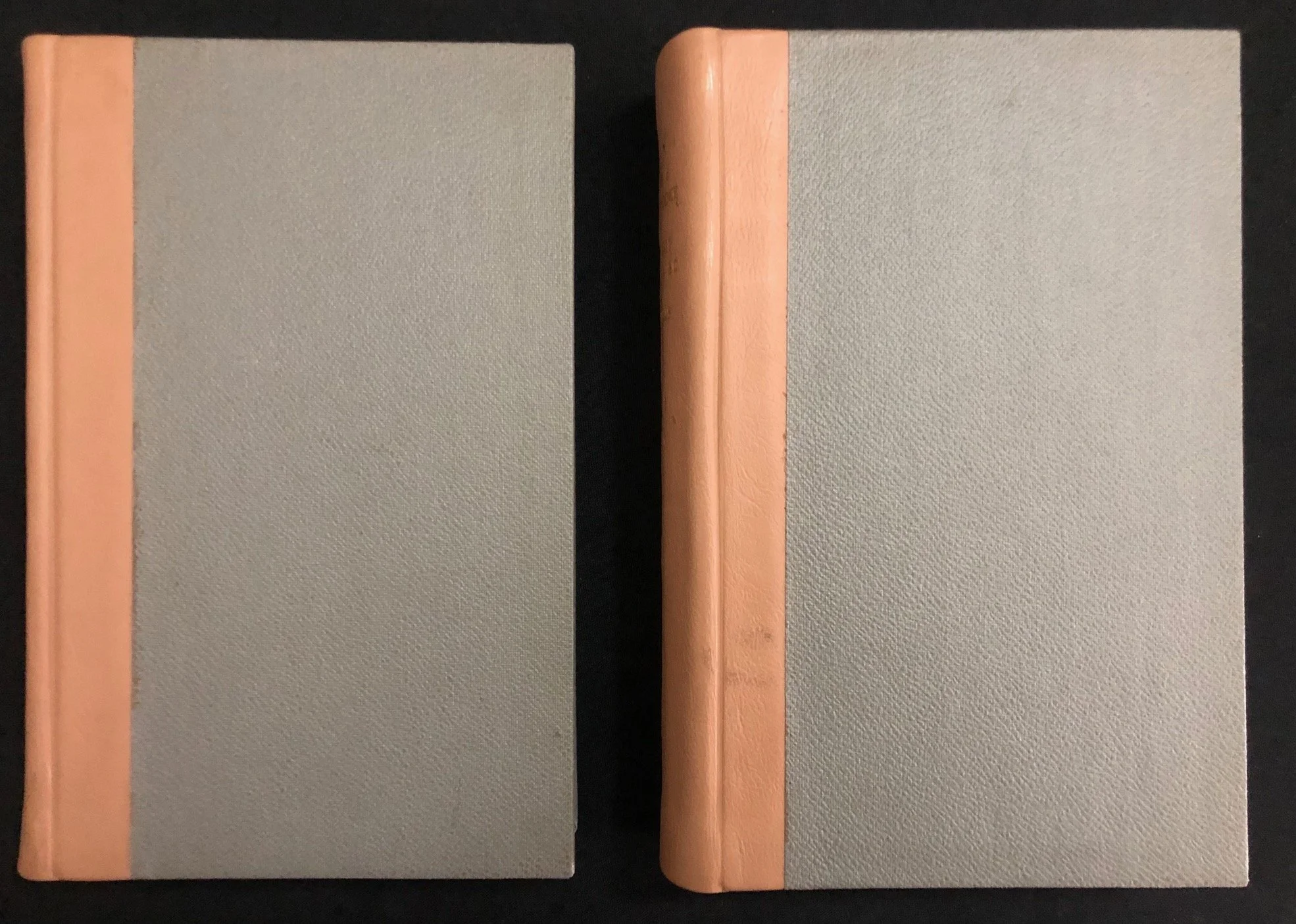 Two-volume Biography of Henry Salt, published in 1834 by his close friend, the painter J. J. Halls.