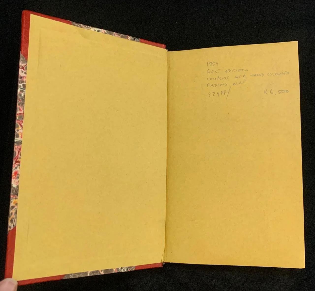 The Colony of Natal by Robert James Mann (1859) 3.jpeg