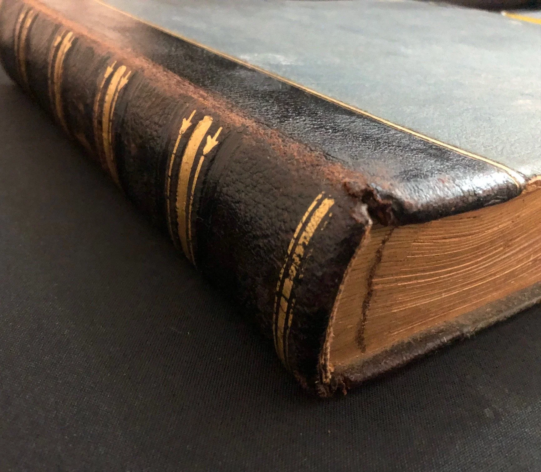 Photograph Album featuring New South Wales, Australia. c.1895