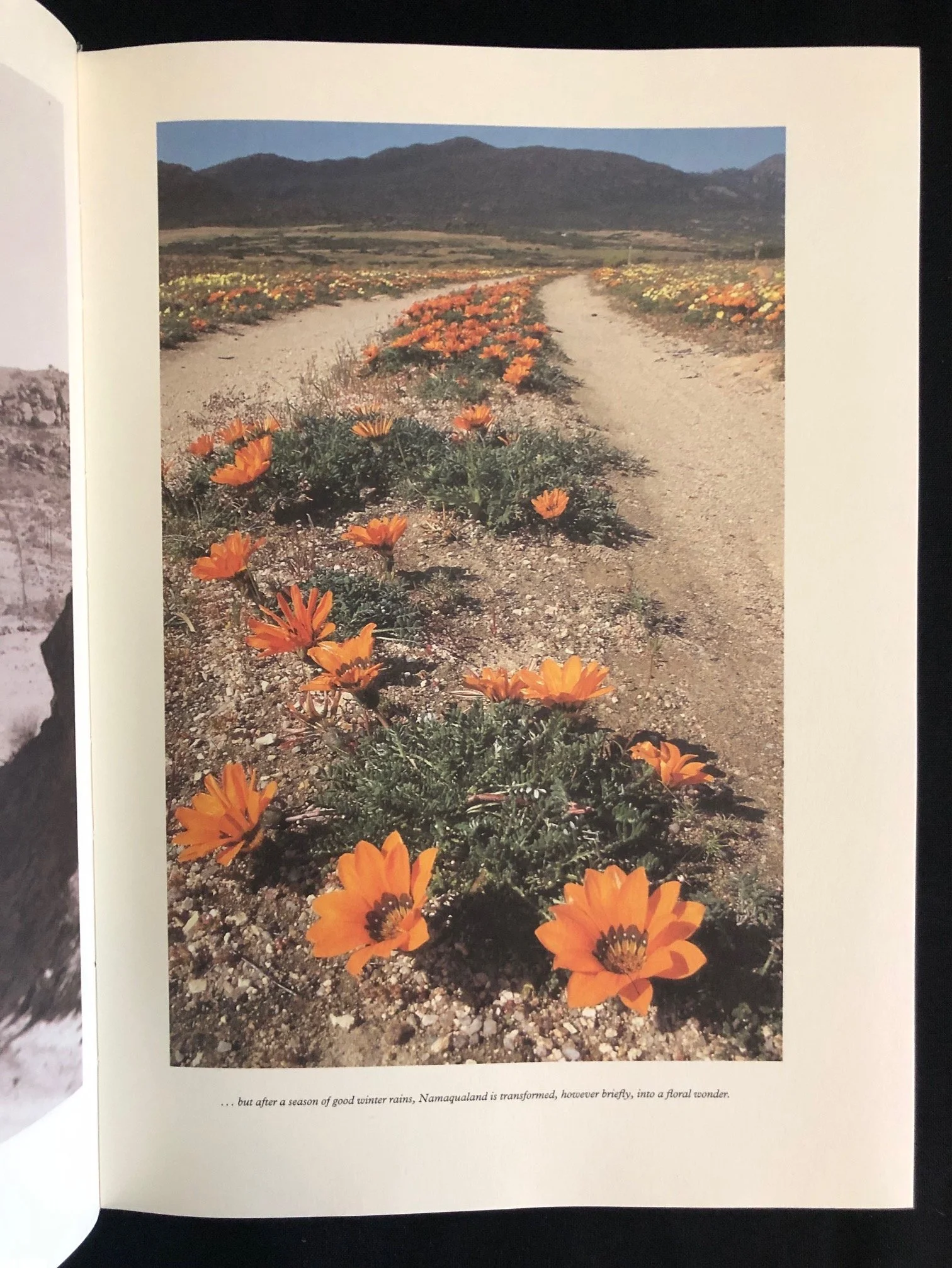 Joe Jowell of Namaqualand 4.jpg