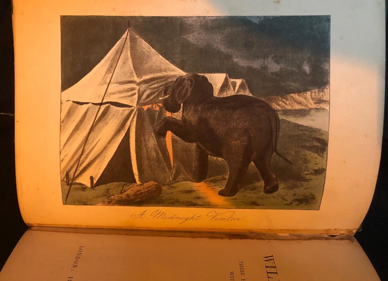 Thirteen Years Among the Wild Beasts of India (1890) 5.jpeg