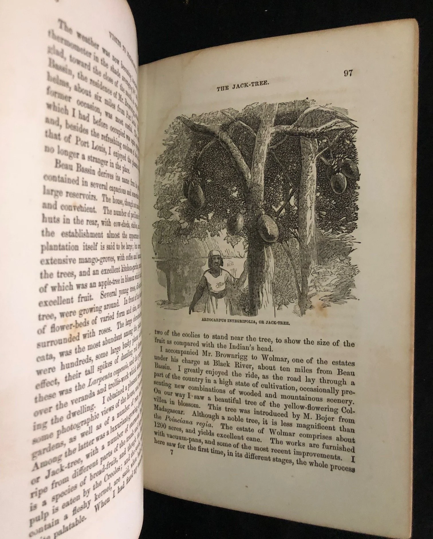 Rev. William Ellis’s Three Visits to Madagascar (1859)