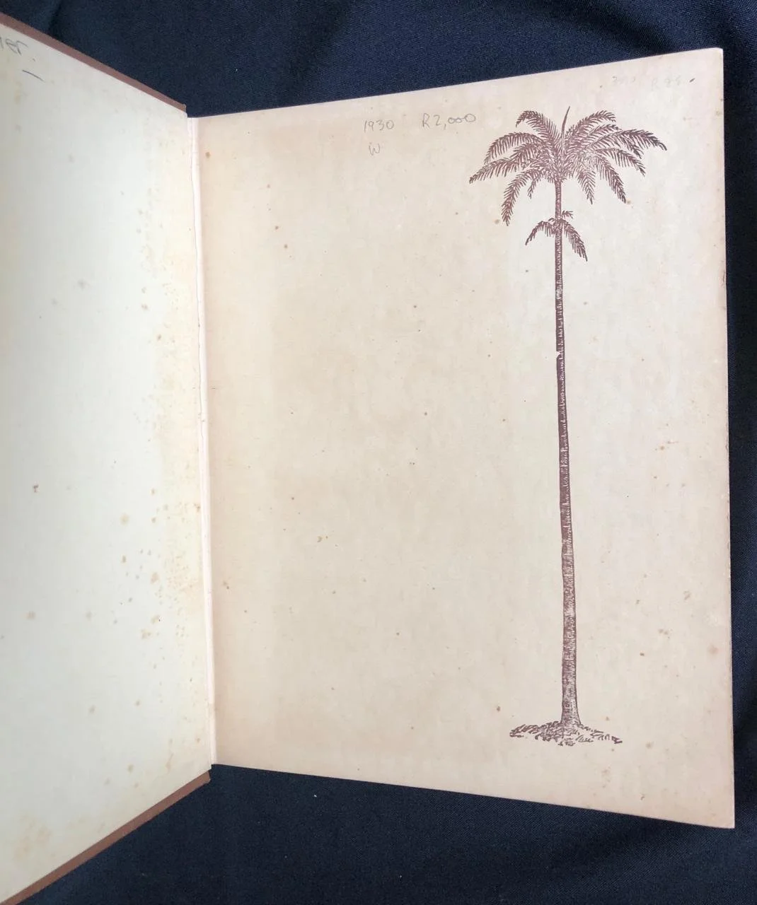 Rhodesia and Eastern Africa 3.jpeg