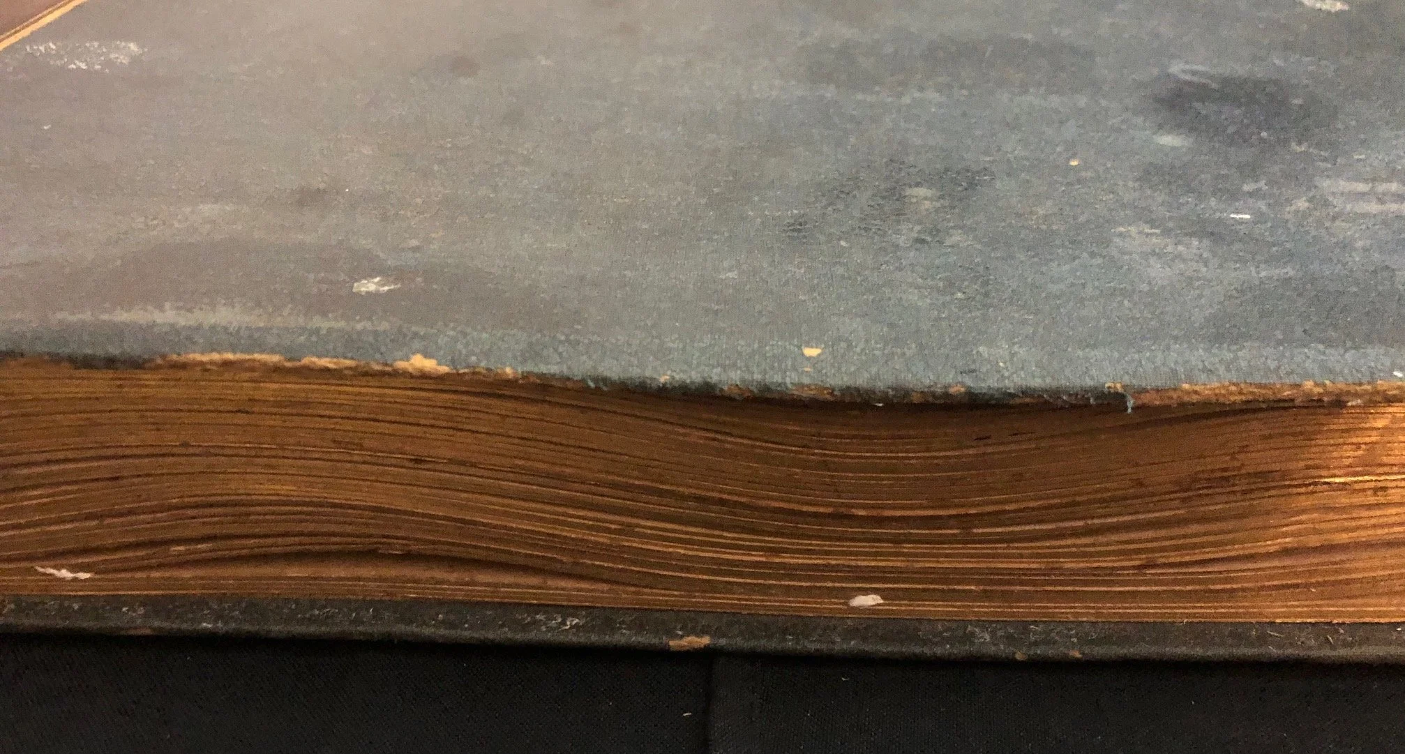 Photograph Album featuring New South Wales, Australia. c.1895