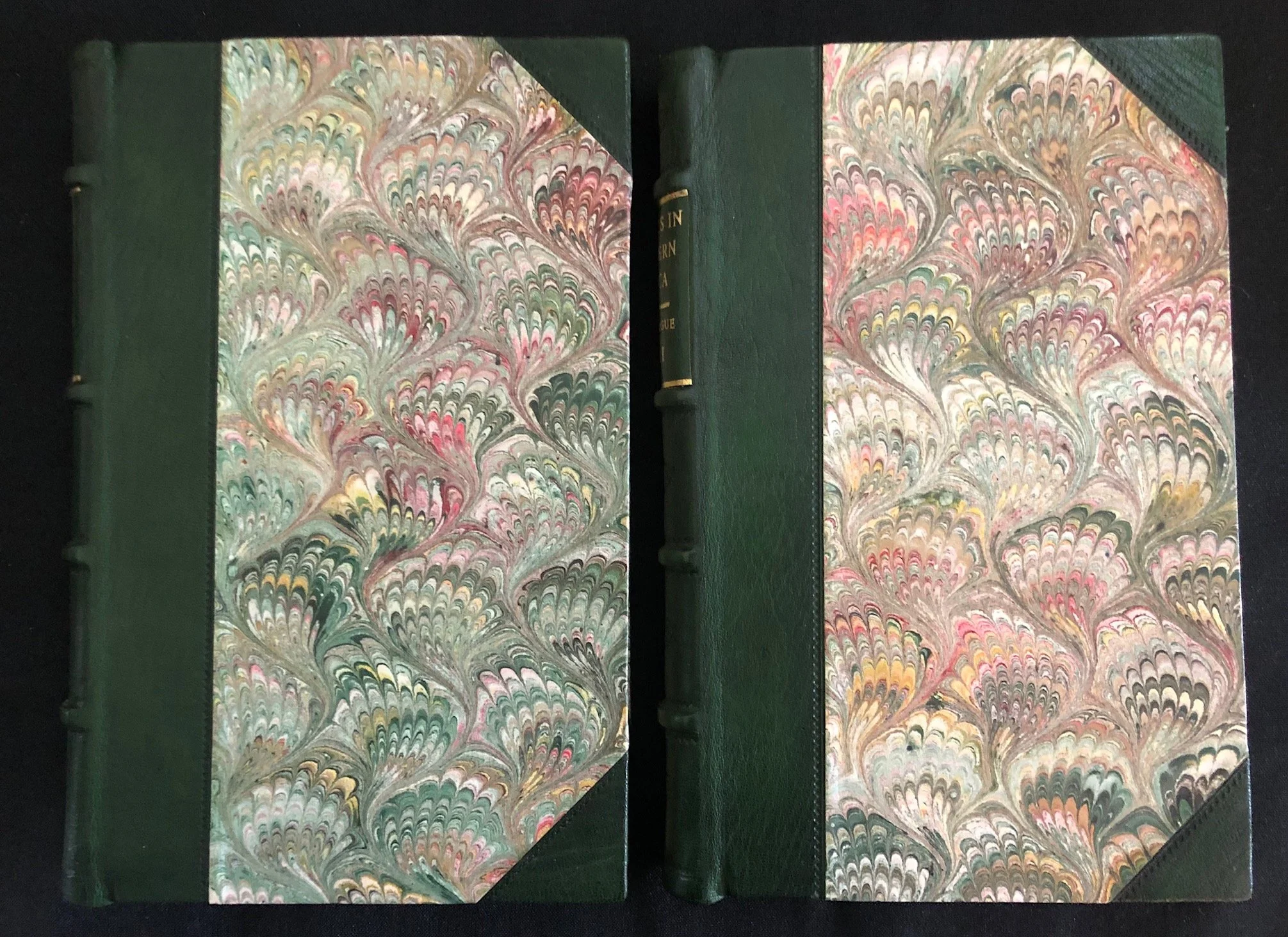 Adulphe Delegorgue’s Travels in Southern Africa, 2 Vols (1990)