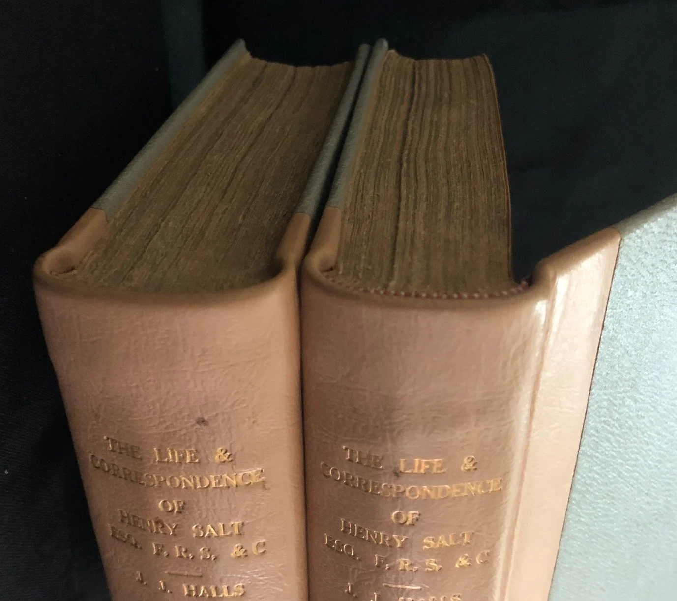 Two-volume Biography of Henry Salt, published in 1834 by his close friend, the painter J. J. Halls.