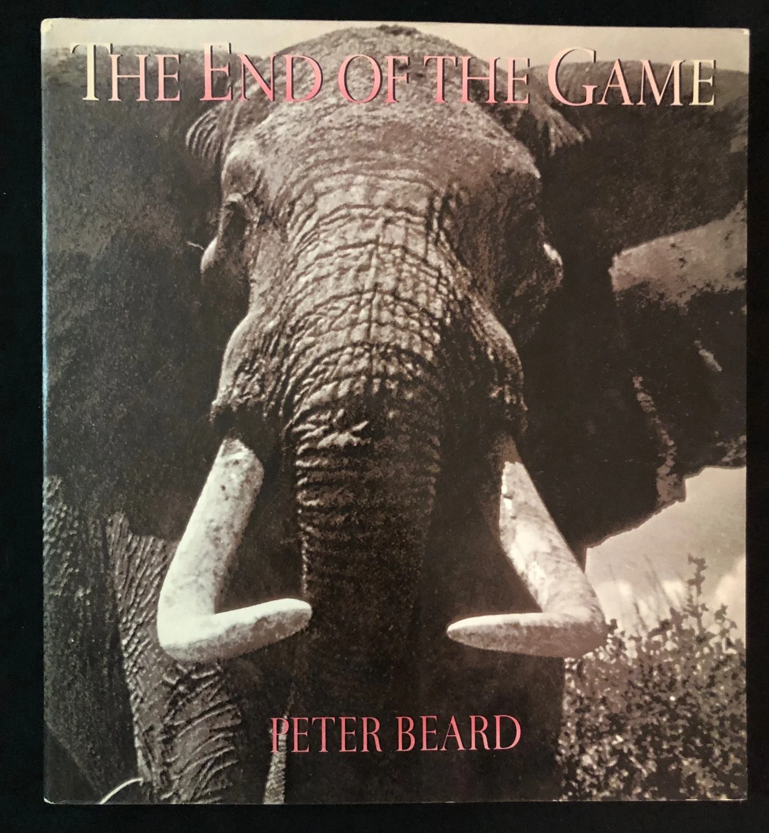 Peter Beard’s The End of the Game (1988)